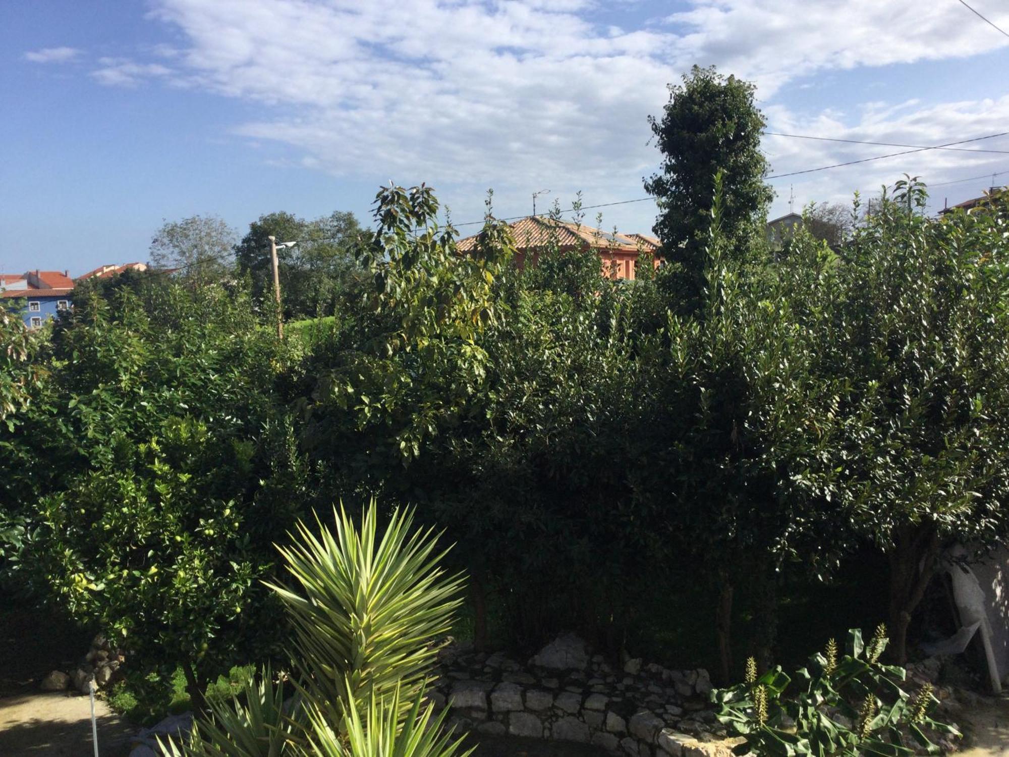 Casa Jardin Rocablanca Llanes Villa Celorio  Exterior foto